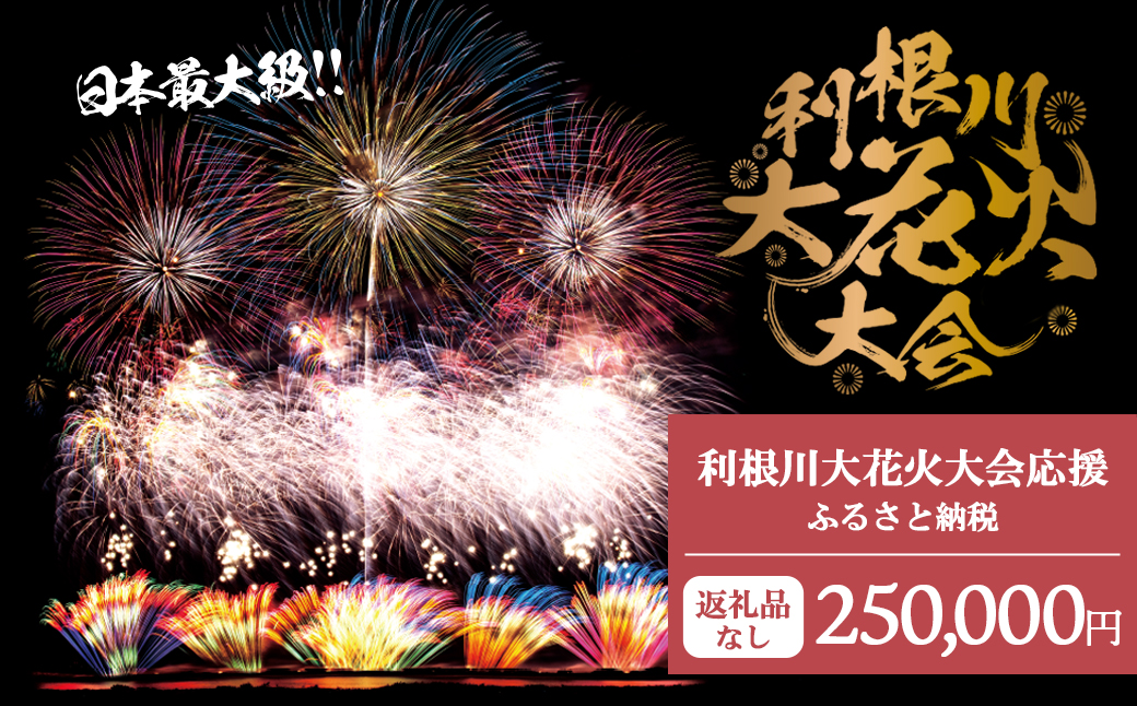 【返礼品なし】利根川大花火大会応援ふるさと納税  (250000円分)  【茨城県境町】