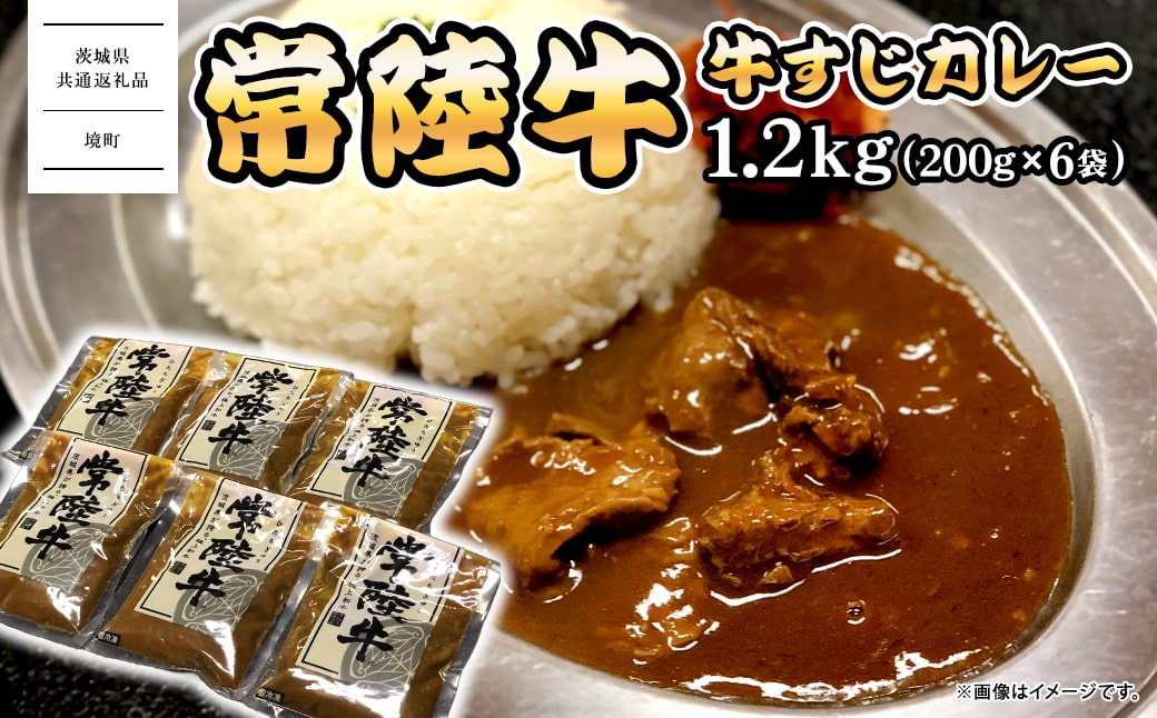 常陸牛すじカレー 1.2kg(200g×6袋) ＜茨城県共通返礼品＞【常陸牛 牛 牛すじ カレー スパイス レトルト 本格 贅沢 牛肉 カレーライス】