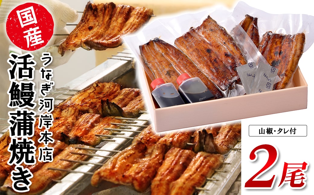 うなぎ河岸本店 【国産】 鰻蒲焼き 2尾 山椒/タレ付 ウナギ