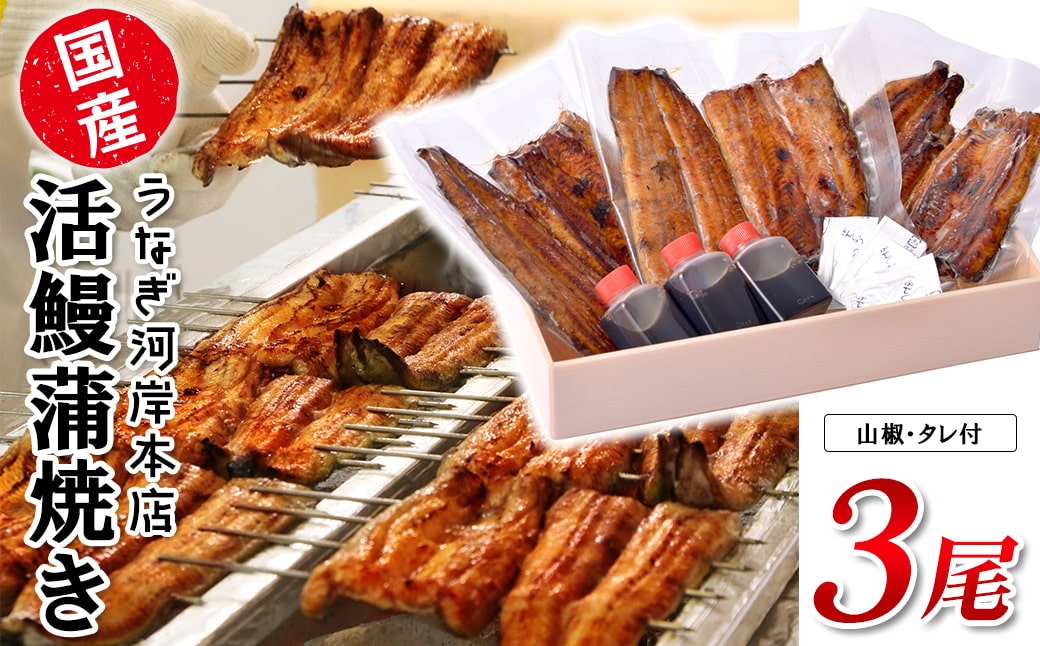 うなぎ河岸本店 【国産】 鰻蒲焼き 3尾 山椒/タレ付