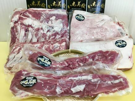 茨城県産豚肉 いち美豚ブロック肉セット約8kg以上【カット済】