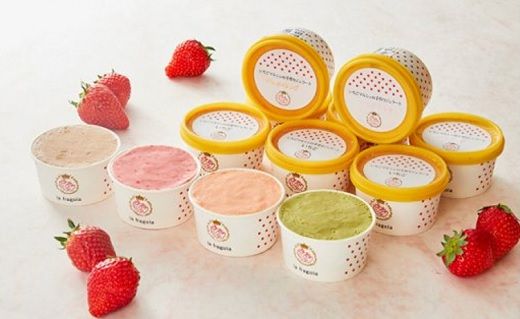 いちご農家の手作りジェラート10個セット