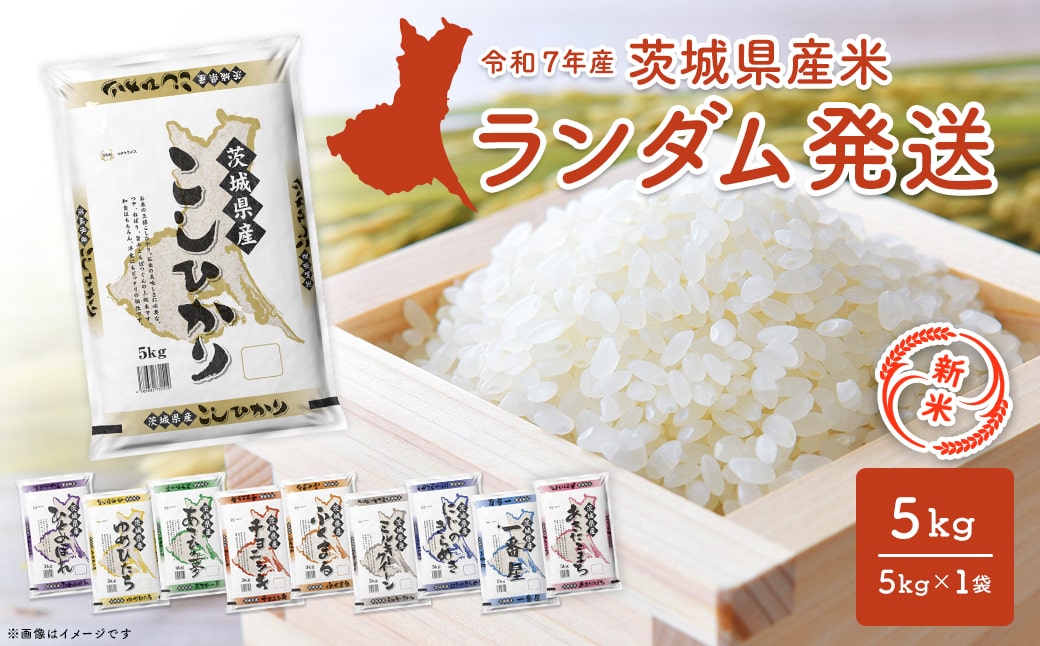 【令和7年産/白米】 ＜令和8年1月内発送＞ ※ランダム※  茨城県産 5kg 米 小分け 2025年産 K2464