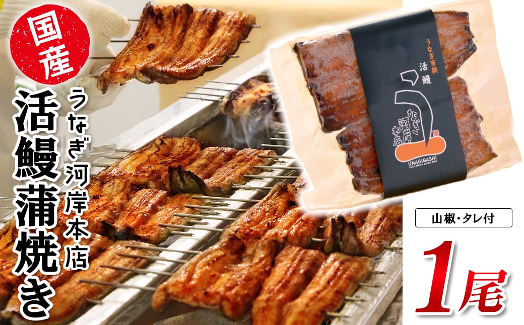 うなぎ河岸本店 【国産】 鰻蒲焼き 1尾 山椒/タレ付