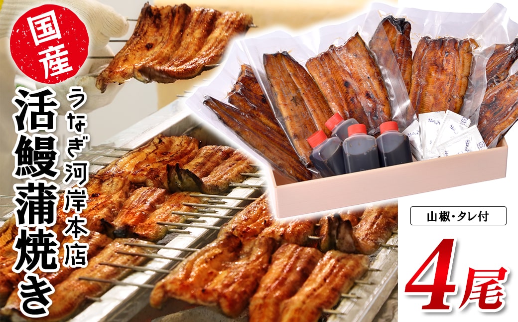 うなぎ河岸本店 【国産】 鰻蒲焼き 4尾 山椒/タレ付 ウナギ