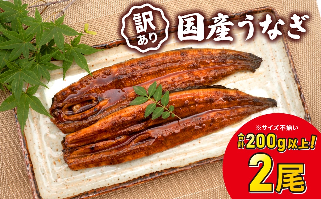 【7日以内発送】訳あり さかい河岸水産 国産うなぎ お試し 2尾 200g以上 人気 鰻 うなぎ蒲焼 K2629