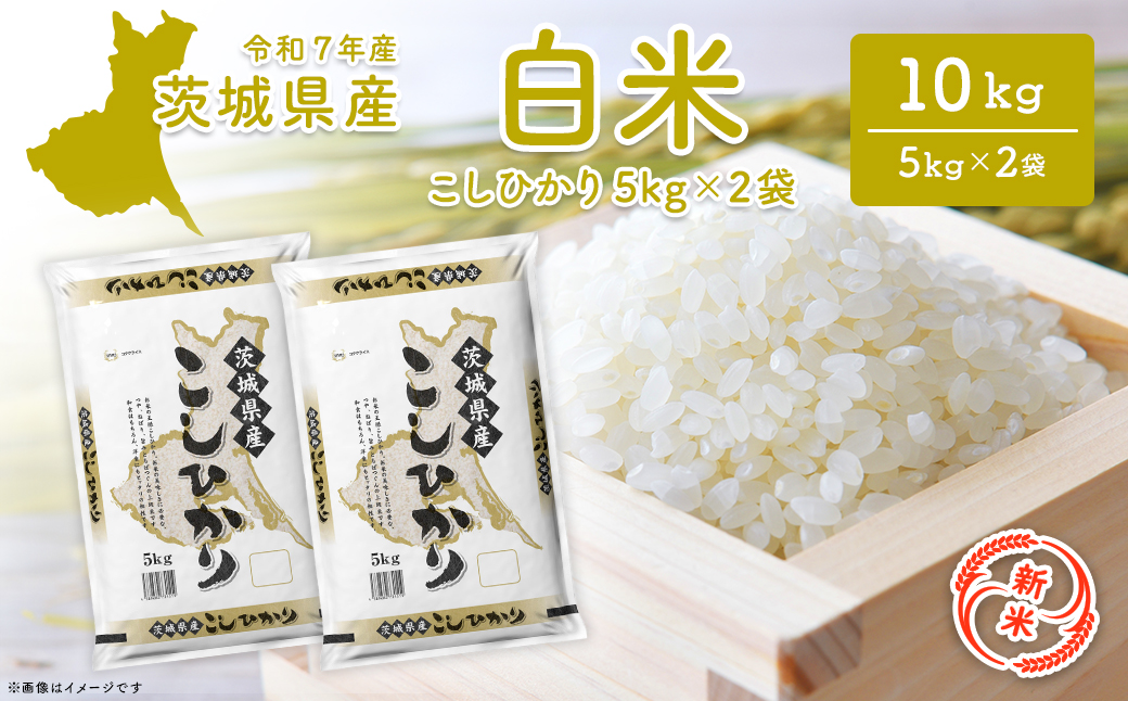【新米/白米】茨城県産 コシヒカリ 10kg (5kg×2袋) ＜令和7年12月内発送＞ 新米 米 精米 小分け 2025年産 令和7年産 K2654
