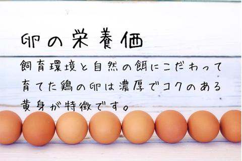 黄身は濃厚、白身あっさり爽やか こだわり卵【輝翔卵】40玉 ※着日指定不可 ※離島への配送不可