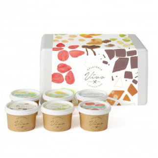 ≪栃木県/Vivo≫イタリアンジェラート(アイスクリーム)＜基本フレーバー6種＞×各1個セット ※配送不可地域あり