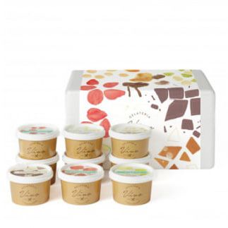 ≪栃木県/Vivo≫イタリアンジェラート(アイスクリーム)＜基本フレーバー9種＞×各1個セット ※配送不可地域あり