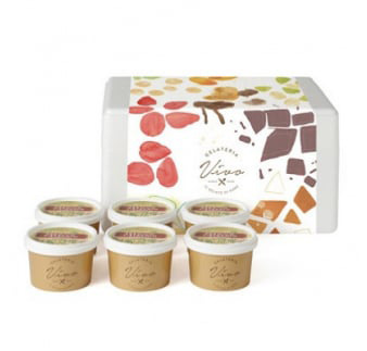 ≪栃木県/Vivo≫高級プレミアムピスタチオ イタリアンジェラート(アイスクリーム) 6個セット ※北海道・沖縄・離島・九州・山口県への配送不可