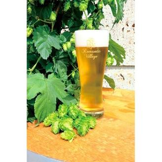 宇都宮 クラフトビール オールスター10本セット(各330ml)【 ビール ギフト 飲み比べ 栃木県 宇都宮市 】※離島への配送不可