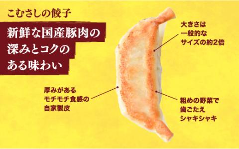 【こむさし】餃子 15個入り【 ぎょうざ 冷凍餃子 冷凍食品 惣菜 栃木県 宇都宮市 】※配送不可地域：離島
