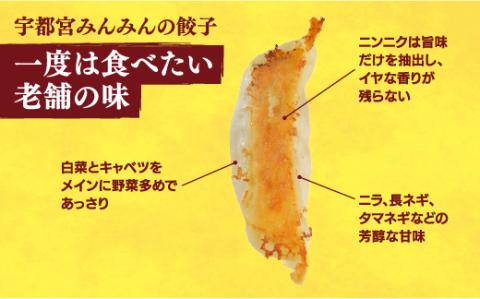 【宇都宮みんみん】　餃子30個入り×2箱【配送不可地域：離島】◇