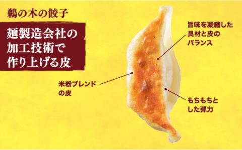 【鵜の木】　餃子18個入り×2箱【配送不可地域：離島】