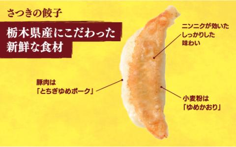 【さつき】　餃子24個入り×2箱【配送不可地域：離島】