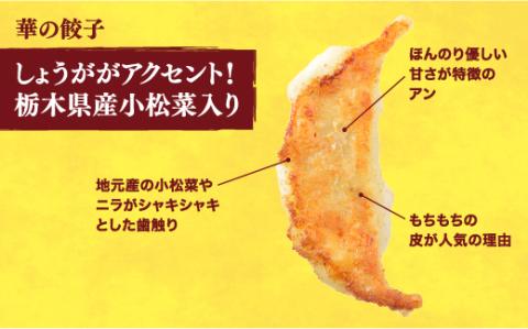 【華】　餃子24個入り×2箱