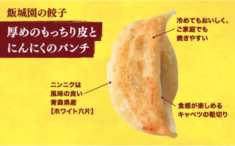 【飯城園】　餃子24個入り×2箱
