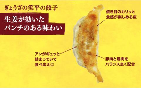 【ぎょうざの笑平】餃子30個入り×2箱【配送不可地域：離島】