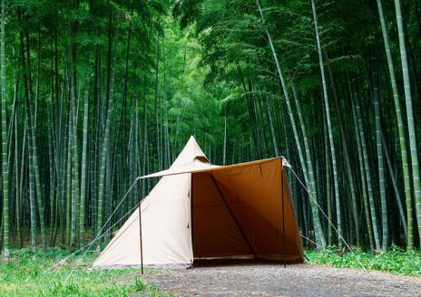 サーカスTC　DX+| tent-Mark DESIGNS テンマクデザイン WILD-1 ワイルドワン ワンポールテント キャンプ アウトドアギア ※着日指定不可