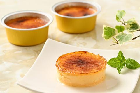 真面目にティラーナ ※着日指定不可 ※北海道・沖縄・離島への配送不可