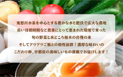 【3ヶ月定期便】米・卵・新鮮野菜バラエティセット ※着日指定不可