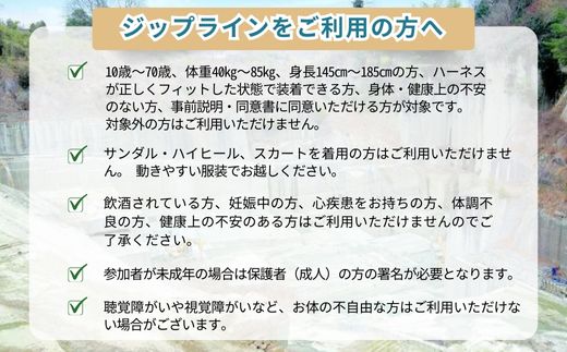 ジップライン ハヤブサ 大人2名 | 栃木県 宇都宮市 大谷石 カネホン採石場 チケット 観光 旅行 ツアー ※離島への配送不可