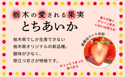 阿部梨園の完熟とちあいか（厳選つぶより） ※離島への配送不可 ※2025年12月上旬～2026年5月中旬頃に順次発送予定