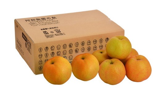 阿部梨園の梨（3kg　レギュラー箱）にっこり　※離島への配送不可　※2025年10月上旬～10月下旬頃に順次発送予定