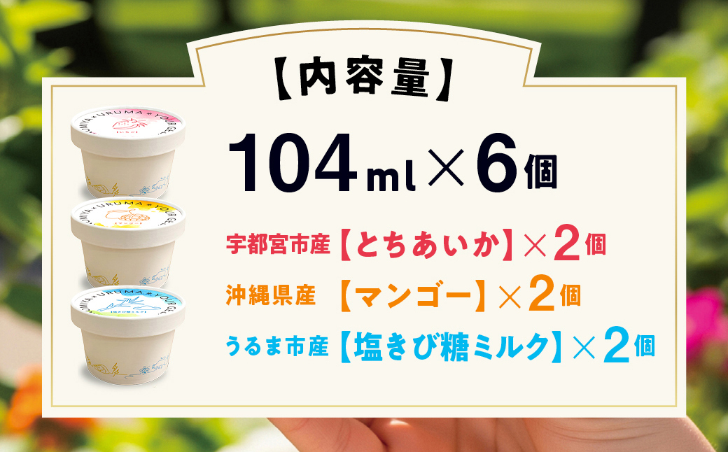 ユアジェラート 宇都宮市×うるま市友好都市記念 オリジナルジェラート 6個セット｜とちあいか マンゴー きび糖 沖縄 琉球 人気 ジェラート 詰め合わせ アイス スイーツ 果汁100% フルーツ プレゼント ギフト 送料無料　※2025年10月上旬～順次発送予定