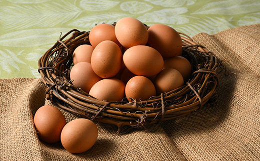 【10ヶ月定期便】赤玉卵「自然のたからもの　黄味恋し」1ケース（10個入り×3パック）×10ヶ月 ※離島への配送不可