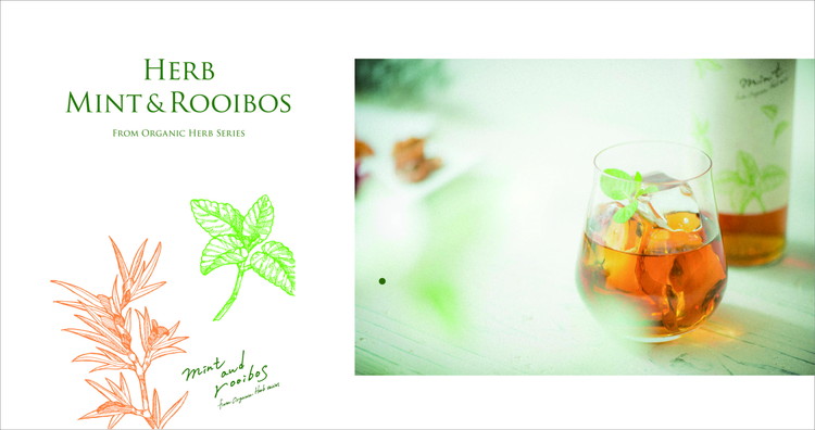 ハーブスピリッツ　ミント　500ml