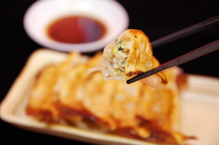 やさい餃子 24個入り×1箱（480g）