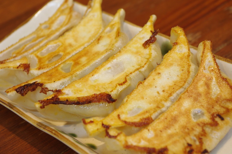 野州餃子 24個入り×2箱（合計48個）（960g）