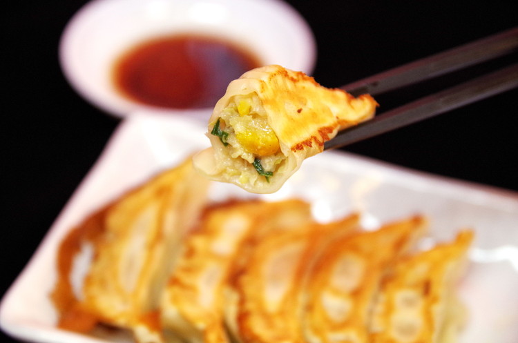 ゆず餃子 24個入り×2箱（合計48個）（960g）