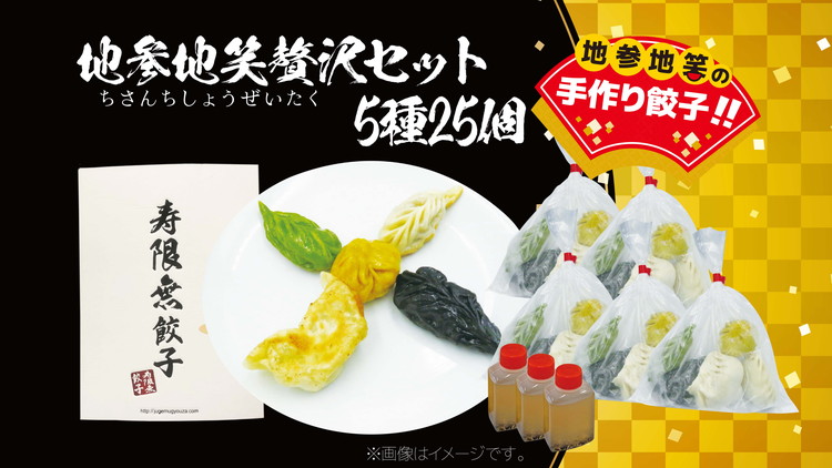 地参地笑贅沢セット 5種25個｜ぎょうざ ギョウザ ギョーザ 冷凍食品 冷凍餃子 惣菜 夜ご飯 おかず おつまみ 手軽 時短 お取り寄せ グルメ