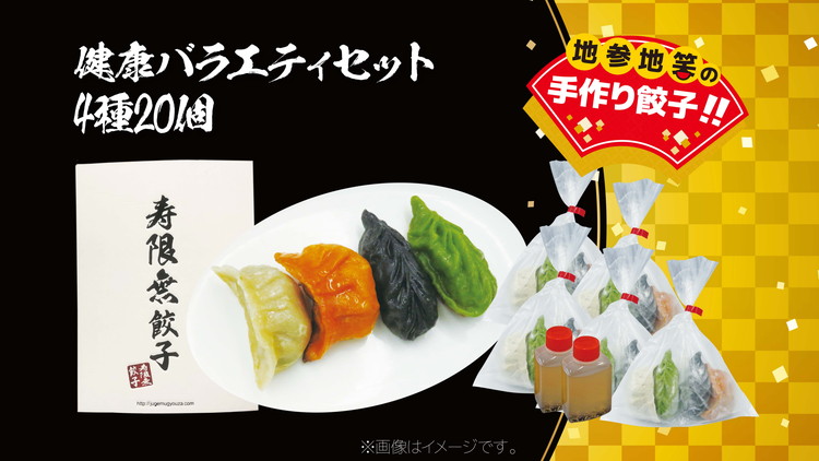 健康バラエティセット 4種20個｜ぎょうざ ギョウザ ギョーザ 冷凍食品 冷凍餃子 惣菜 夜ご飯 おかず おつまみ 手軽 時短 お取り寄せ グルメ