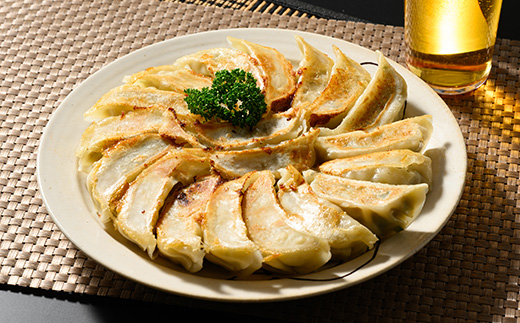 餃子20個入り×5箱（100個） | ふるさと納税 餃子 冷凍 ギョウザ 冷凍食品 惣菜 お取り寄せ グルメ 送料無料 宇都宮 栃木県