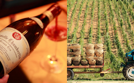 大谷の天然地下蔵で深みを増すワイン ブルゴーニュ赤 モノポール含む 2本セット ｜ 赤ワイン お酒 飲み比べ セット ギフト 栃木県 宇都宮市 ※離島への配送不可