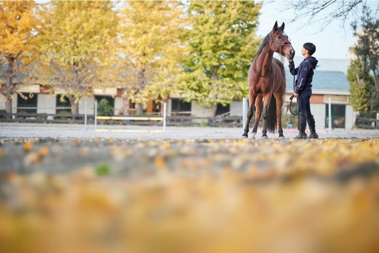 Canon 大口径・単焦点レンズ RF85mm F1.2 L USM DS ｜ キヤノン Canon カメラ レンズ  写真 撮影