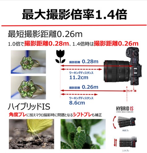 Canon 高画質マクロレンズ RF100mm F2.8 L MACRO IS USM ｜ キヤノン Canon カメラ レンズ  写真 撮影