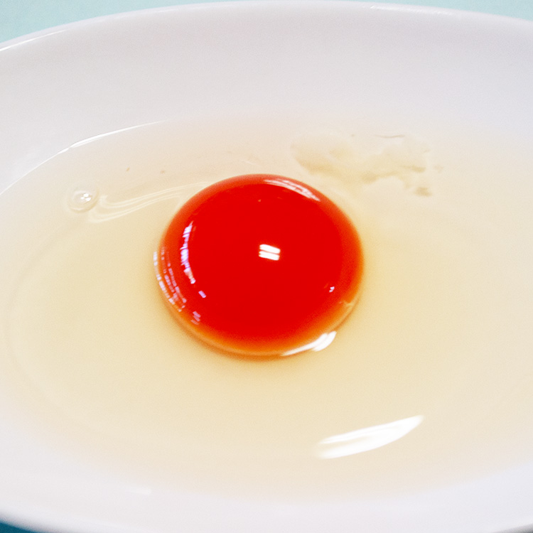 【定期便3ヶ月】烏骨鶏　濃厚な黄身！爽やかな白身が自慢！【烏骨鶏輝翔卵】20玉らくらく定期便 ◇ ※離島への配送不可