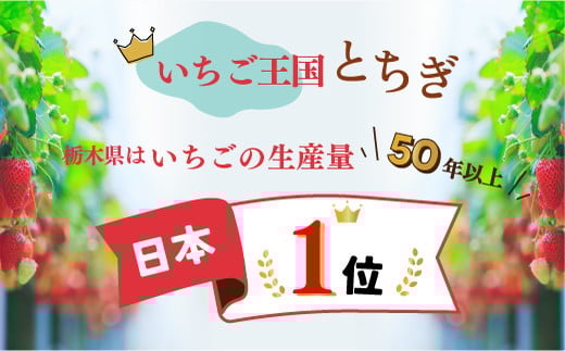 朝摘み とちあいか 2パックセット ※離島への配送不可 ※2026年1月～3月頃に順次発送予定