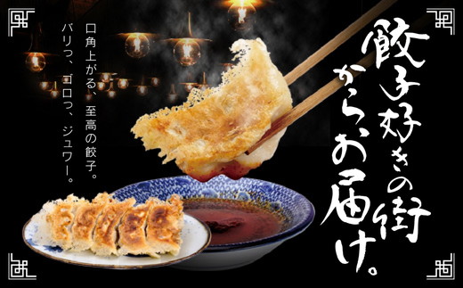 【3ヶ月定期便】芭莉龍の冷凍餃子【4人前】 ※着日指定不可