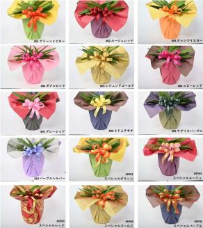 【栃木県宇都宮産】胡蝶蘭（小輪）ピーライト　3本立 ※離島への配送不可