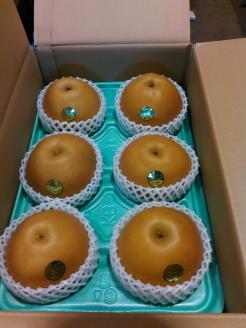 【先行予約】栃木県産　大玉の梨【にっこり】5kg サイズ：7～5玉 ※北海道・沖縄・離島への配送不可 ※2025年10月下旬～11月下旬頃に順次発送予定