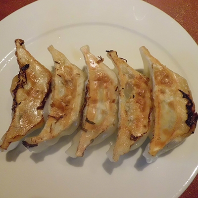 宇都宮発　これが大地の餃子です　計45個入り(1箱15個入り×3箱)