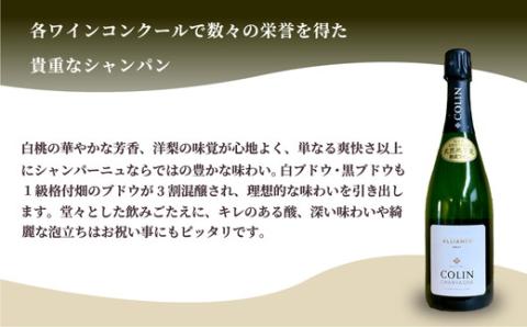 大谷の天然地下蔵で深みを増すワイン シャンパーニュ ブリュット トラディション 1本 ｜ ワイン シャンパン ギフト 栃木県 宇都宮市 ※離島への配送不可