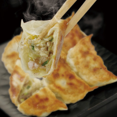 宇都宮餃子 寿限無 宇都宮特産餃子セット(3種×各3個・計9個入り)