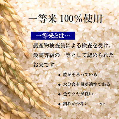 【令和7年産】栃木県産とちぎの星（精米）5kg×1袋 ｜ お米 白米 一等米 送料無料 栃木県 宇都宮市　※離島への配送不可